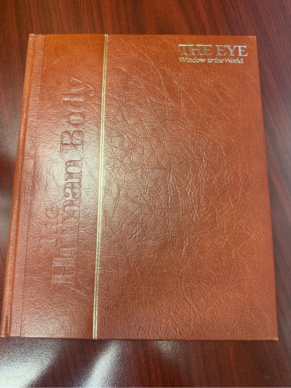 The Eye Window to the World Leather Guest Book - Brown
